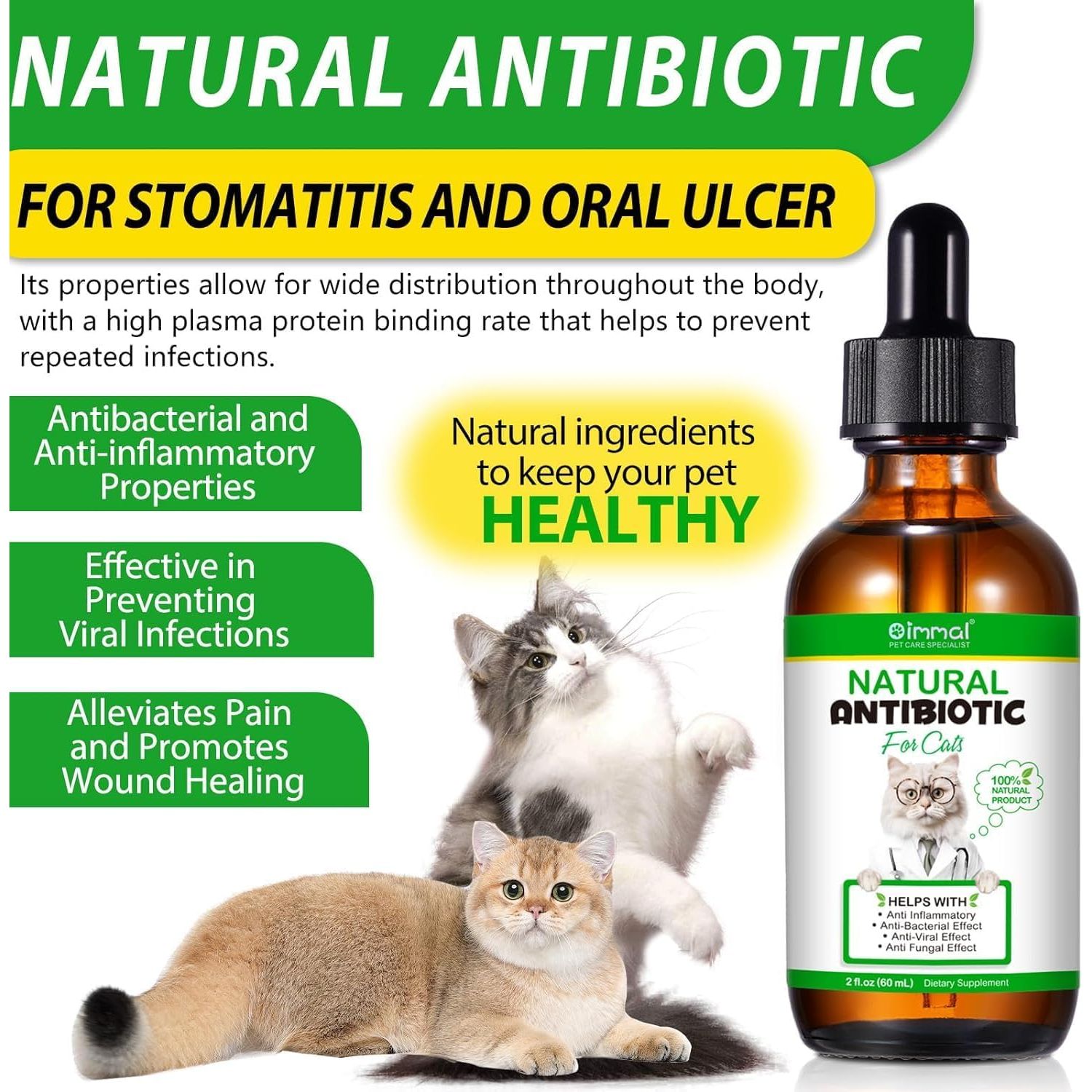 Natural Cat Antibiotics | Cat Antibiotics for Infections | Sacred Lily