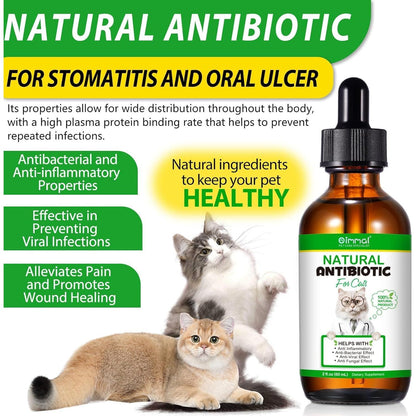 Natural Cat Antibiotics | Cat Antibiotics for Infections | Sacred Lily