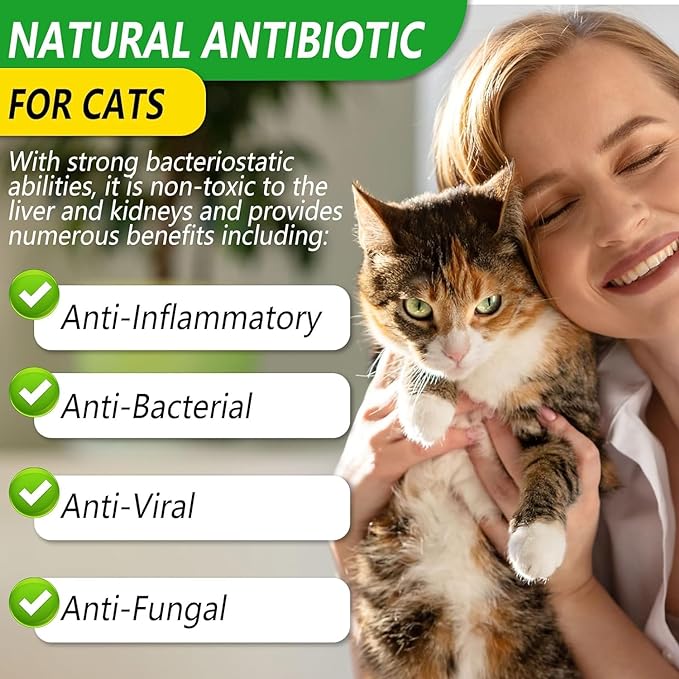 Natural Cat Antibiotics | Cat Antibiotics for Infections | Sacred Lily