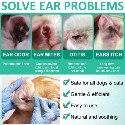 Dog Ear Infection Drops | Dog Ear Cleaner | Sacred Lily