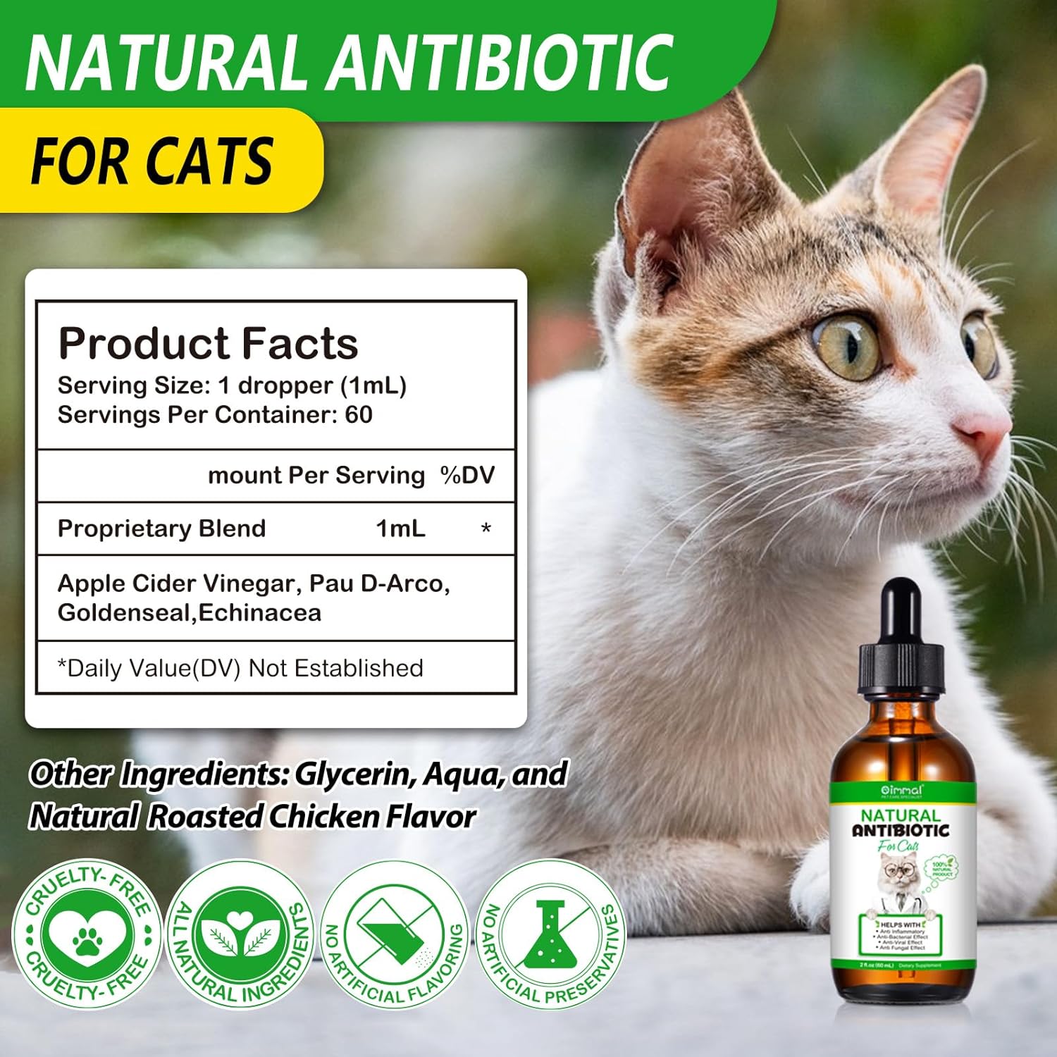 Natural Cat Antibiotics | Cat Antibiotics for Infections | Sacred Lily